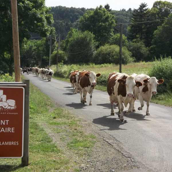 Ferme de Lambres