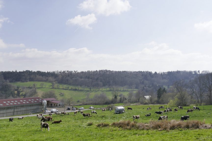 La Ferme de Lambres (J-L. Blanchon)