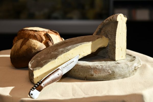 3 saint-nectaire fermier AOP entier 4-6 semaines